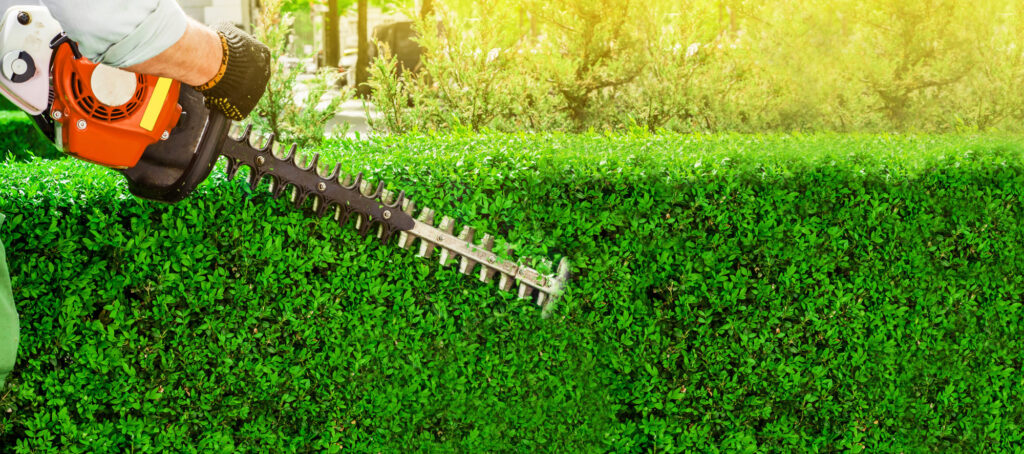Landscape business bad idea​